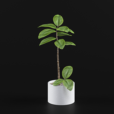 Green & Fresh: Interior Plant 3D model image 1 