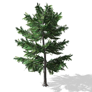 Realistic Tree Model - 00012 3D model image 1 