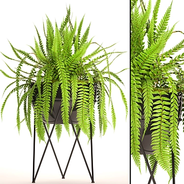 Lush Fern Pot 3D model image 1 