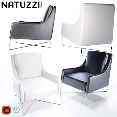 Natuzzi Agra Leather Chairs 3D model image 1 