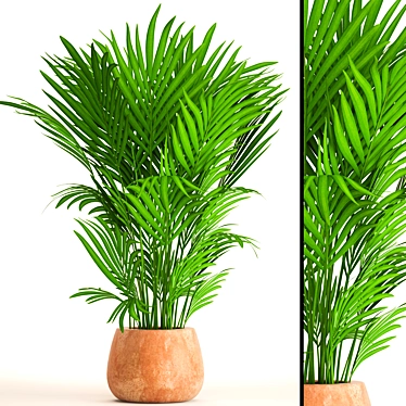 Elegant Kentia Palm: Howea Forsteriana 3D model image 1 