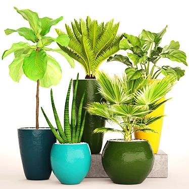 Indoor Potted Plant Collection 3D model image 1 