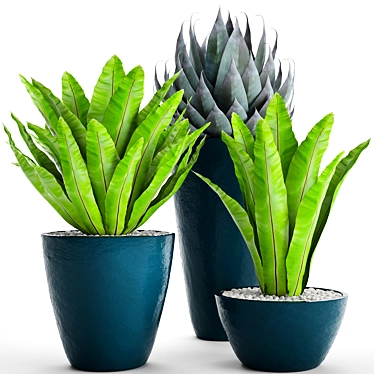 Green Oasis: 60 Asplenium & Agave 3D model image 1 