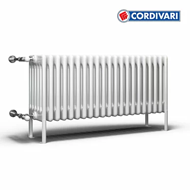 Italian Cordivari Radiator 3D model image 1 