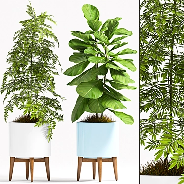 Green Oasis - Plant Set 3D model image 1 