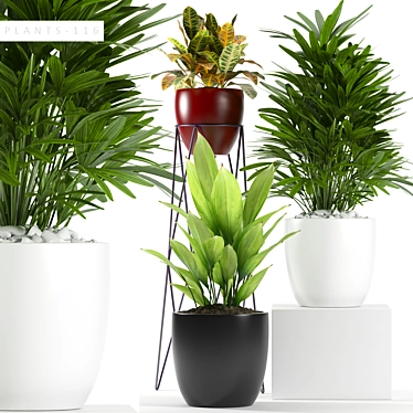 Versatile Plant Collection 3D model image 1 