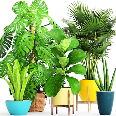 Green Oasis Collection: Potted Plants 3D model image 1 