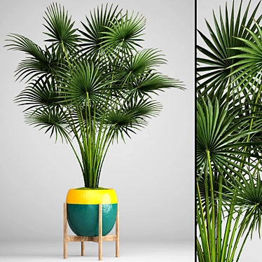 Tropical Vibes: Palm Tree 2 3D model image 1 