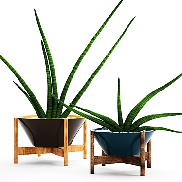  Green Oasis: 64 Sansevieria Collection 3D model image 1 