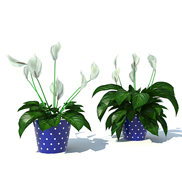 Tropical Peace Lily 3D model image 1 