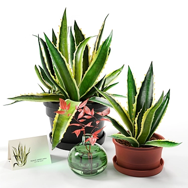  Agave Deluxe Home Decor Set 3D model image 1 