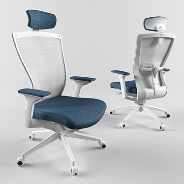 ErgoMesh Task Chair 3D model image 1 