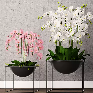 Exquisite Orchid Model - High-Quality 3D Max & OBJ Formats 3D model image 1 
