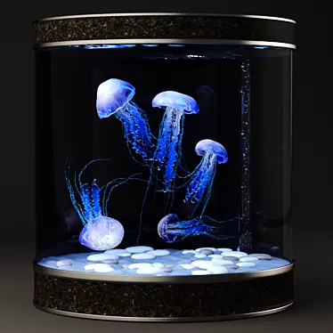 Jellyfish