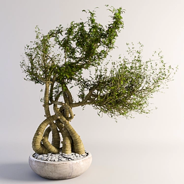 VRay-Ready Miniature Tree 3D model image 1 