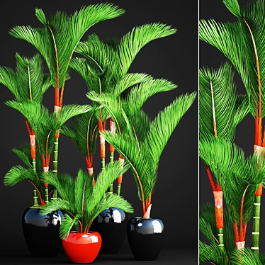 Tropical Plant Collection: Cyrtostachys 3D model image 1 