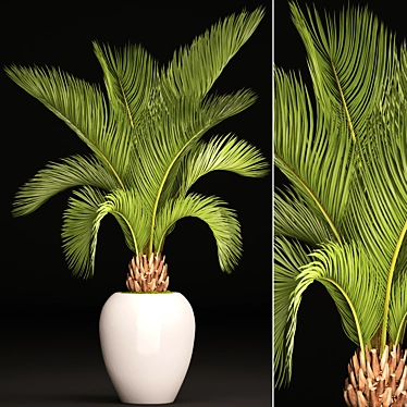Tropical Elegance: White Pot Palm 3D model image 1 