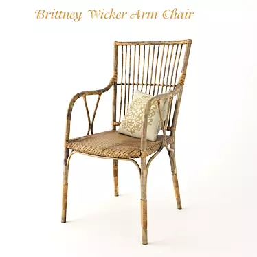 Brittney Wicker Arm Chair