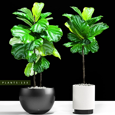 Max 3D Plant Collection 3D model image 1 