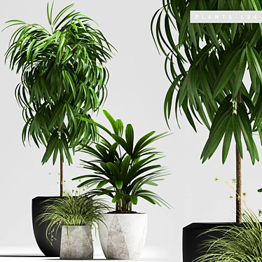 Lush Greenery Pack: PLANTS 134 3D model image 1 