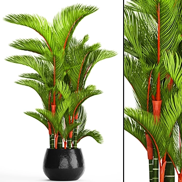 Vibrant Red Palm Tree 3D model image 1 