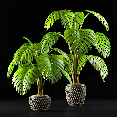 Tropical Delight: Monstera Leaf 3D model image 1 