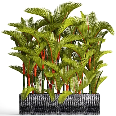 Vibrant Red Palm Tree Collection 3D model image 1 