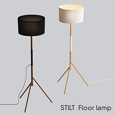 Stylish Stilt Floor Lamp 3D model image 1 