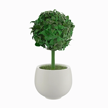 Evergreen Artificial Cactus 3D model image 1 