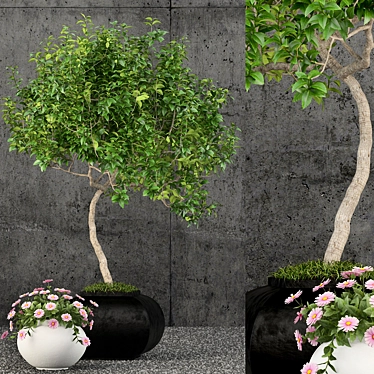 Exquisite Plant Assortment 61 3D model image 1 