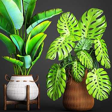 Tropical Paradise: Collection of Exquisite Plants 3D model image 1 