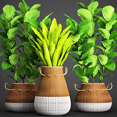 Lush Collection of Leafy Plants 3D model image 1 