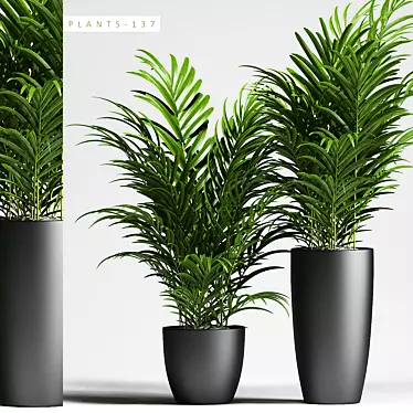 Exquisite 3D Plant Collection 3D model image 1 