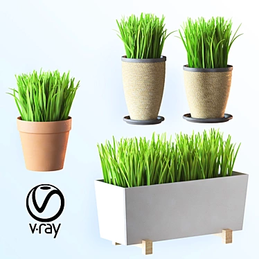 Modern Home Plant Set 

Translation: 
Set of simple indoor plants with pots, perfect for interior design. Features high-quality voluminous grass. 3D model image 1 