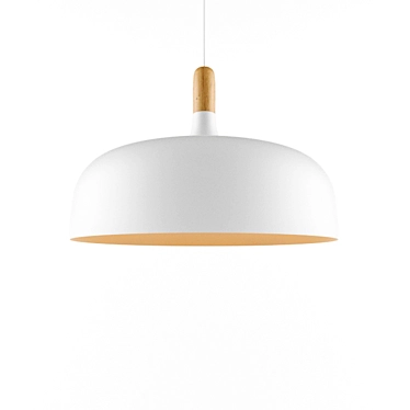 Elegant Acorn Pendant Light 3D model image 1 