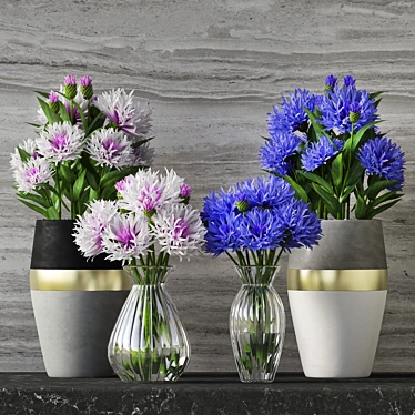 Delicate Cornflower Set 3D model image 1 