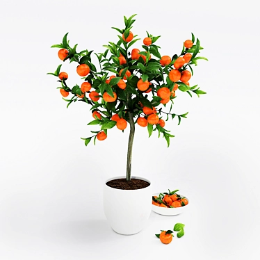 Mini Mandarin Tree: Potted Zen 3D model image 1 