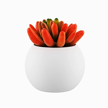 Elegant Pot Flower for Home 3D model image 1 