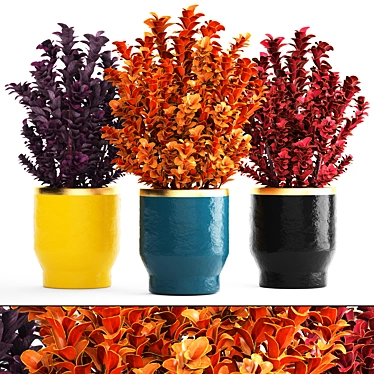 Vibrant Berberis Thunbergii Collection 3D model image 1 