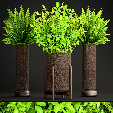 Green Oasis Plant Collection 3D model image 1 