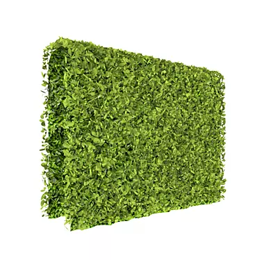 Lush Green Decorative Wall 3D model image 1 