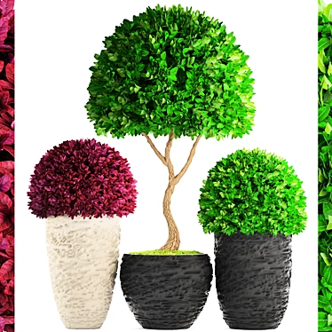 118 Plant Collection: Topiary Haven 3D model image 1 