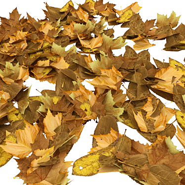 Title: Nature's Remnants - Dried Foliage 3D model image 1 