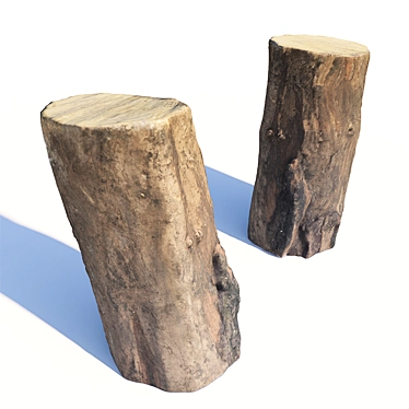 Acacia Stump: Photorealistic 3D Model 3D model image 1 