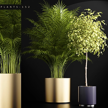 152 Plant Collection 3D model image 1 