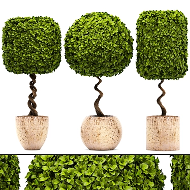 Artistic Plant Sculptures 3D model image 1 