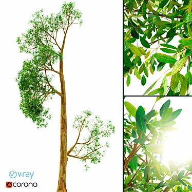 3D Tree Model No. 4: V-Ray, Corona Renderer & PBR 3D model image 1 