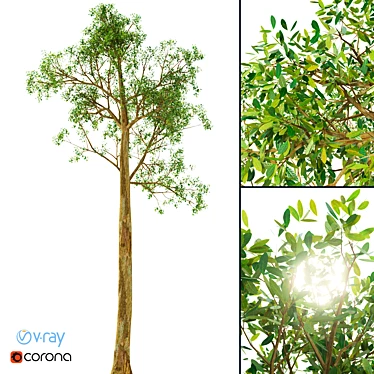 Realistic 3D Model of a Tree 3D model image 1 