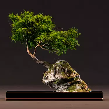 Artistic Bonsai Sculpture 3D model image 1 