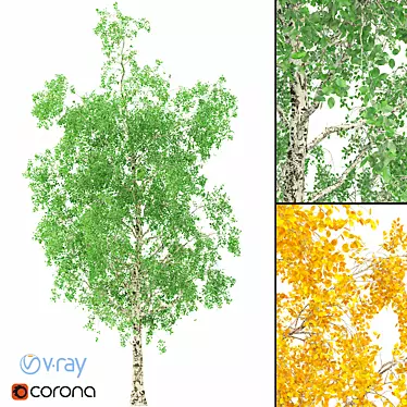 Seasonal Birch Tree: 3D Model 3D model image 1 
